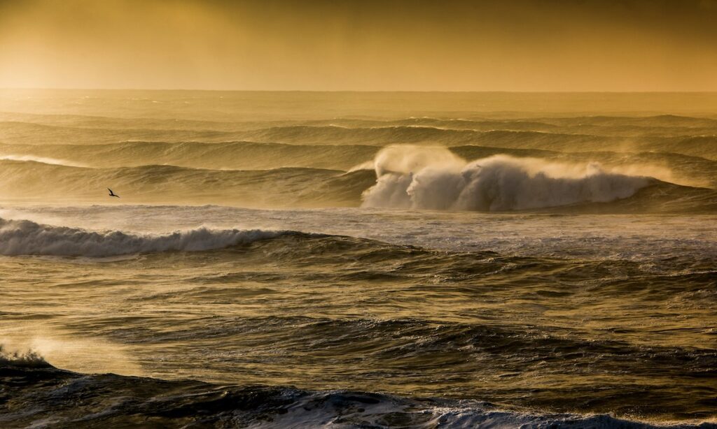 Storm Watching Oregon Coast